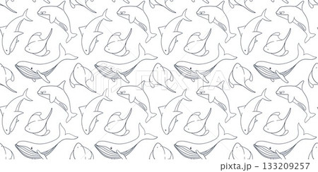 Seamless line art style seamless pattern with humpback whale, shark, stingray fish and killer whale swimming in the ocean. Background for marine and aquatic themed design. 133209257