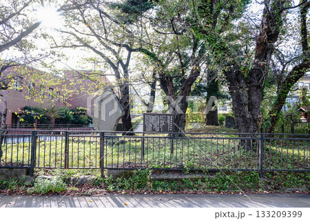 松島氏の墓城　箕輪町 133209399