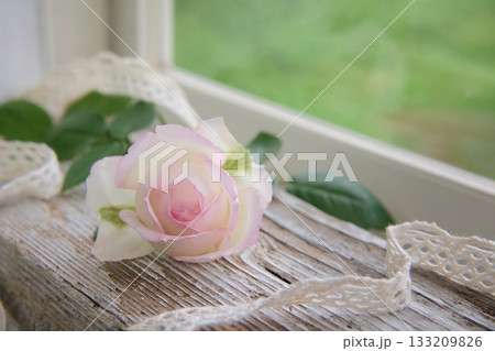 窓辺に薔薇 133209826