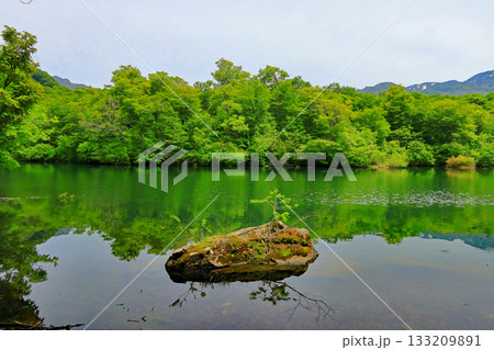 小谷村　鎌池 133209891