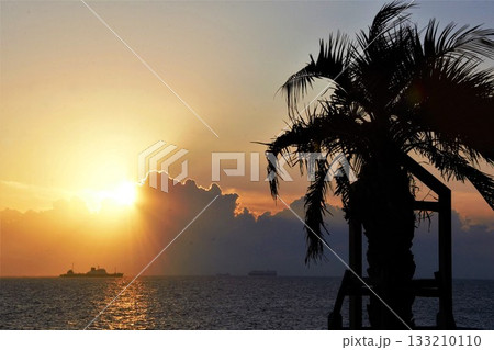 水平線に沈む夕日とヤシのシルエット 水平線に沈む夕日とヤシのシルエット 133210110