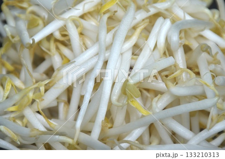 fresh bean sprout raw food prepare to cook in bowl fresh bean sprout raw food prepare to cook in bowl 133210313