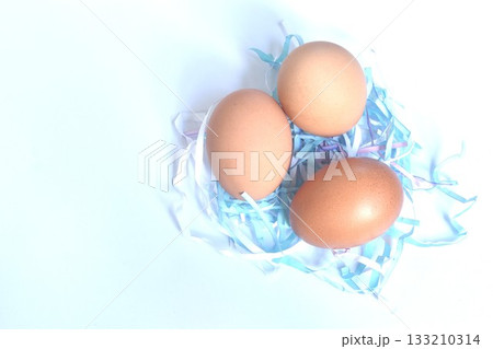 fresh brown chicken egg shell out on paper nest in white background fresh brown chicken egg shell out on paper nest in white background 133210314