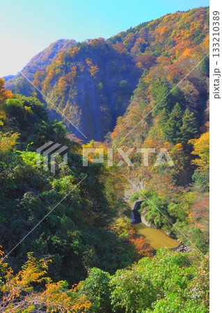 秋の九酔渓(大分県九重町・縦構図) 秋の九酔渓(大分県九重町・縦構図) 133210389