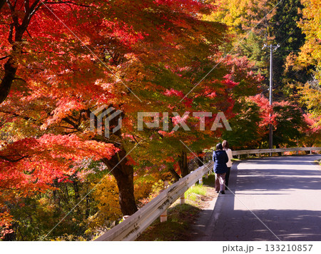 1万本のもみじが色付くもみじ湖 133210857