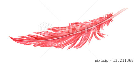 Watercolor red single bird feather illustration on isolated background. Colored pigeon, rooster or seagull plume. Element of animal wing for carnival mask decor, Easter card, ethnic design. Watercolor red single bird feather illustration on isolated background. Colored pigeon, rooster or seagull plume. Element of animal wing for carnival mask decor, Easter card, ethnic design. 133211369