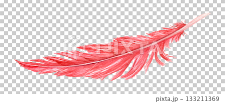 Watercolor red single bird feather illustration on isolated background. Colored pigeon, rooster or seagull plume. Element of animal wing for carnival mask decor, Easter card, ethnic design. Watercolor red single bird feather illustration on isolated background. Colored pigeon, rooster or seagull plume. Element of animal wing for carnival mask decor, Easter card, ethnic design. 133211369