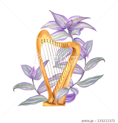 Watercolor classical wooden harp string among tropical tradescantia plant illustration on isolated background. Musical stringed instrument and purple leaves. For jazz festival, Patrick day invitation. 133211372