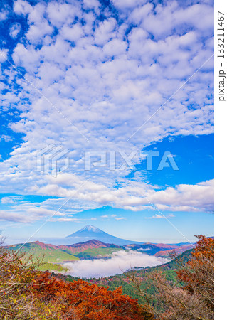 【神奈川県】紅葉期の箱根大観山から、芦ノ湖の雲海と富士山 133211467