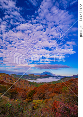 【神奈川県】紅葉期の箱根大観山から、芦ノ湖の雲海と富士山 【神奈川県】紅葉期の箱根大観山から、芦ノ湖の雲海と富士山 133211472
