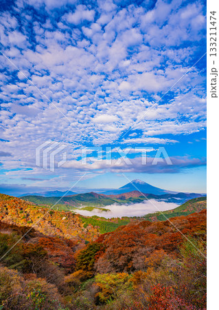【神奈川県】紅葉期の箱根大観山から、芦ノ湖の雲海と富士山 133211474