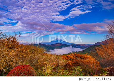 【神奈川県】紅葉期の箱根大観山から、芦ノ湖の雲海と富士山 【神奈川県】紅葉期の箱根大観山から、芦ノ湖の雲海と富士山 133211475
