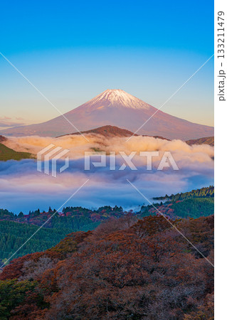 【神奈川県】紅葉期の箱根大観山から、芦ノ湖の雲海と富士山 133211479