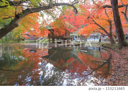 水面に映る鮮やかな紅葉と中尊寺の弁財天堂 水面に映る鮮やかな紅葉と中尊寺の弁財天堂 133211665