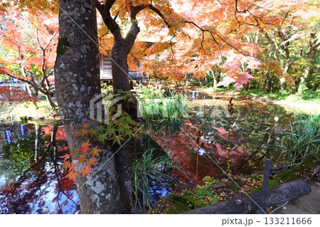 水面に映る鮮やかな紅葉と中尊寺の弁財天堂 水面に映る鮮やかな紅葉と中尊寺の弁財天堂 133211666