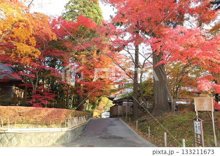 紅葉が鮮やかな中尊寺の参道 133211673