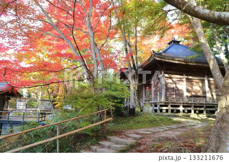鮮やかな紅葉に包まれる中尊寺峯薬師堂 133211676