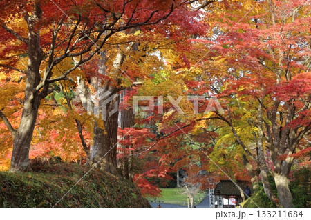 鮮やかな紅葉に包まれた中尊寺の参道 133211684