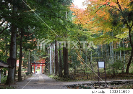 中尊寺参道から白山神社を望む 中尊寺参道から白山神社を望む 133211699