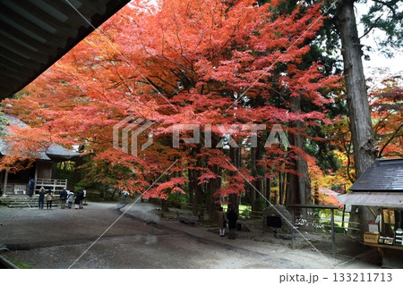 紅葉の参道から旧覆堂へ 紅葉の参道から旧覆堂へ 133211713