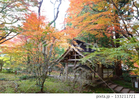 中尊寺釈迦堂付近の紅葉 中尊寺釈迦堂付近の紅葉 133211721