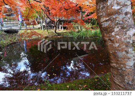 水鏡に映る紅葉と中尊寺弁財天堂 133211737