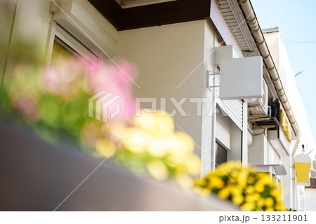 Modern outdoor setup with vibrant flowers in a sunny urban environment 133211901