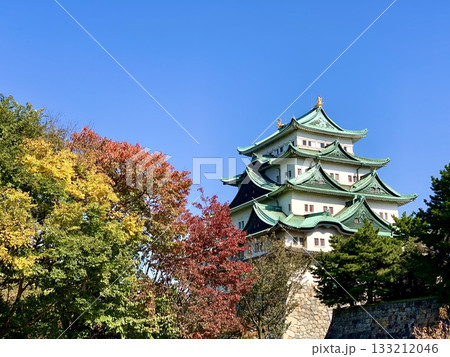 秋晴れの青空に映える紅葉の名古屋城天守閣〈愛知県名古屋市〉 133212046