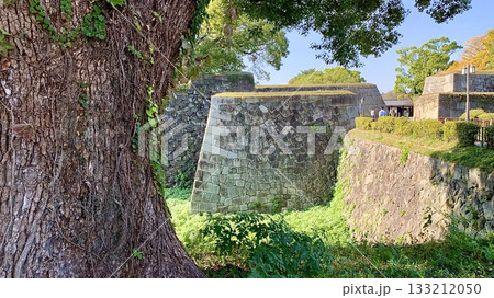 名古屋城二の丸空堀の石垣〈愛知県名古屋市〉 133212050