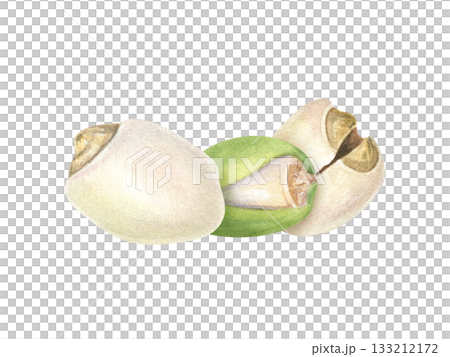 Healthy peeled and in green shell lotus seeds watercolor illustration on isolated background. Makhana nuts. Protein rich superfood for vegan diet label, mindful eating packaging, nutrition blog Healthy peeled and in green shell lotus seeds watercolor illustration on isolated background. Makhana nuts. Protein rich superfood for vegan diet label, mindful eating packaging, nutrition blog 133212172