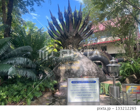 タイ タイ国 タイランド 133212265