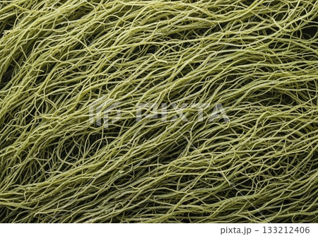 Macro of tangled light green seaweed threads creating an abstract organic texture on dark background 133212406