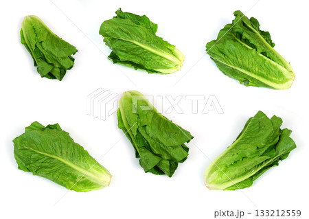 Cos Lettuce isolated on White Background 133212559