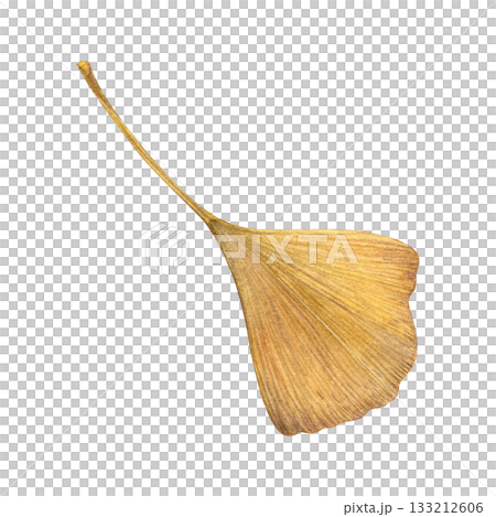 Watercolor painting of an autumn ochre ginkgo leaf on a white background. Good for postcards, books, invitations, greeting cards, wallpaper and textiles Watercolor painting of an autumn ochre ginkgo leaf on a white background. Good for postcards, books, invitations, greeting cards, wallpaper and textiles 133212606