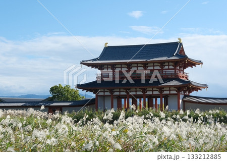 おぎの原と平城宮朱雀門 おぎの原と平城宮朱雀門 133212885