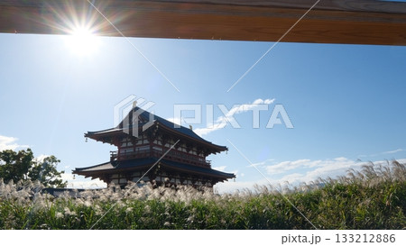 おぎの原と平城宮朱雀門 133212886