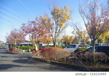 年に数回行く川越市保健所も短い秋の気配が 紅葉 年に数回行く川越市保健所も短い秋の気配が 紅葉 133212893