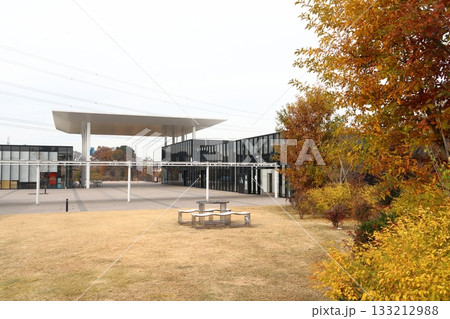 秋の首都高速川口線：川口ハイウェイオアシス／川口PAにて 133212988