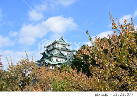 天守閣と梅の紅葉（名古屋城） 133213077