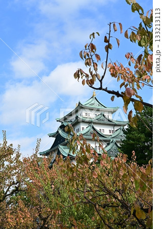 天守閣と梅の紅葉（名古屋城） 133213113