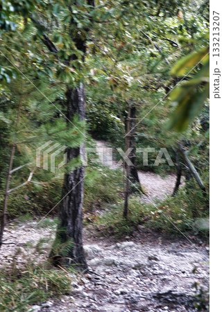 高御位山 高御位山 133213207