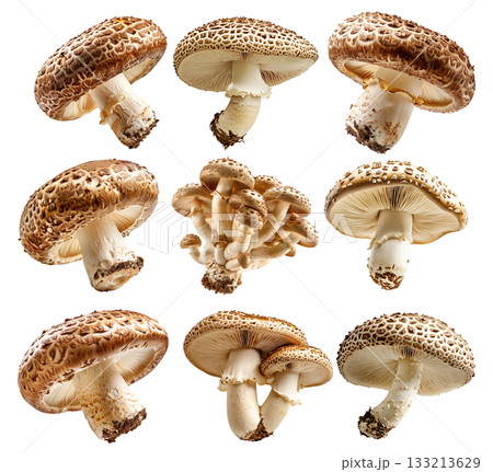 Set of Brown cap Cremini mushroom with a white stem is isolated on a white background 133213629