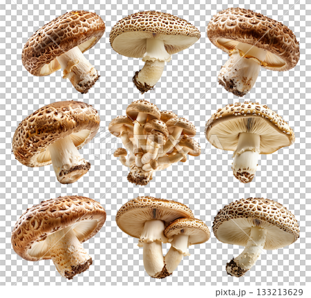 Set of Brown cap Cremini mushroom with a white stem is isolated on a white background 133213629