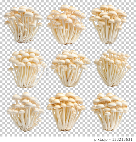 Set of White Enoki mushroom isolated on a white transparent background 133213631