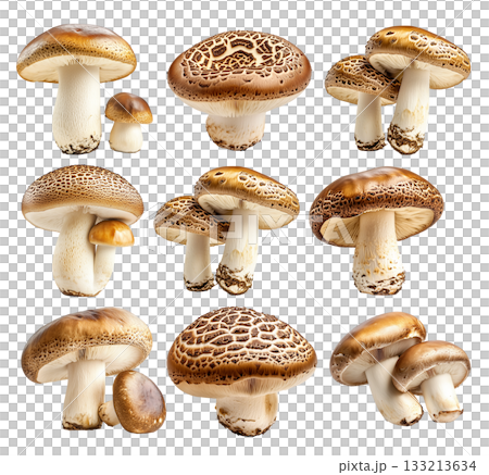 Set of Portobello mushroom showing its textured cap and stem isolated on a white background. Set of Portobello mushroom showing its textured cap and stem isolated on a white background. 133213634