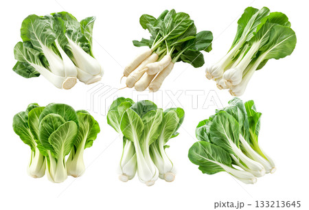 Set of Fresh green bok choy vegetables cabbage isolated on a white background 133213645