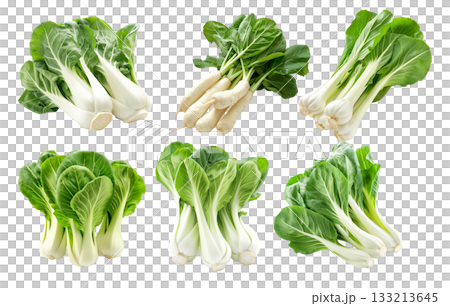 Set of Fresh green bok choy vegetables cabbage isolated on a white background 133213645