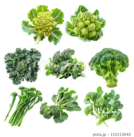 Set of Baby broccoli floret with green leaves, isolated on a white background Set of Baby broccoli floret with green leaves, isolated on a white background 133213648