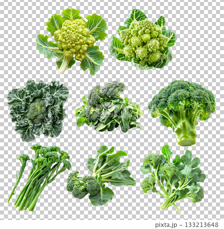 Set of Baby broccoli floret with green leaves, isolated on a white background Set of Baby broccoli floret with green leaves, isolated on a white background 133213648