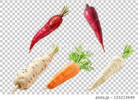Set of Imperator carrot and Parsnip root with green leaves isolated on a white background Set of Imperator carrot and Parsnip root with green leaves isolated on a white background 133213649